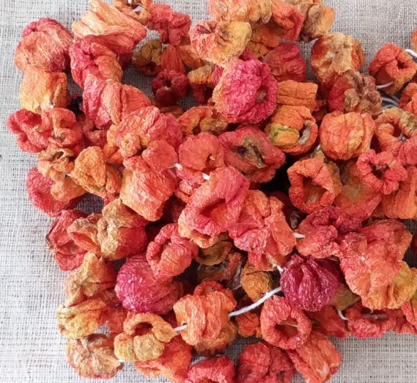 Dried Bell Pepper (50 pcs) - 2