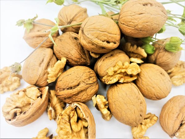 Walnuts (1 Kg) Coconut Vaccine - 3