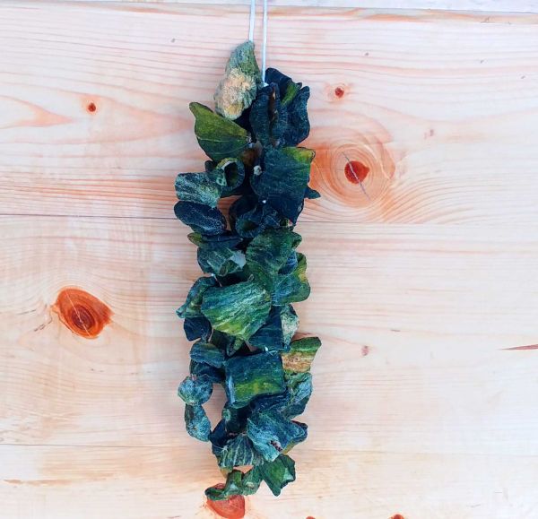 Dolmalık Acur Kurusu - 50 Adet - 2