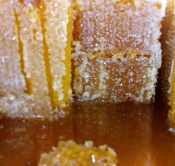 Kahramanmaras Honeycomb Honey - 1