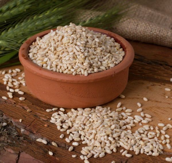 Maraş Tattoo - Wheat - 2