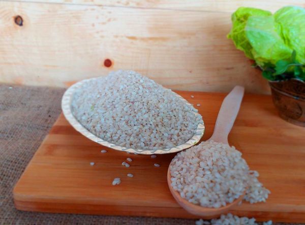 Yellow Paddy Rice - Karacadağ - 2