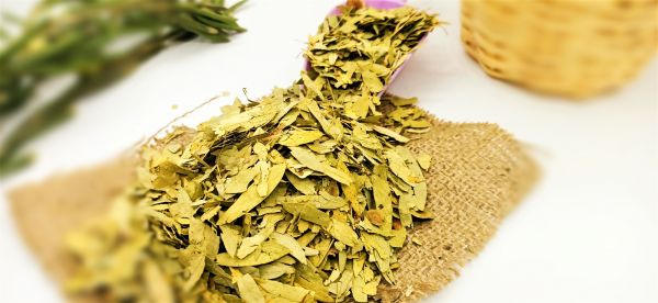 Senna (100 GR.) - 2
