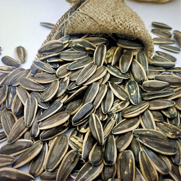 Siyah Çekirdek Çiğ ( 500 gr ) - 1